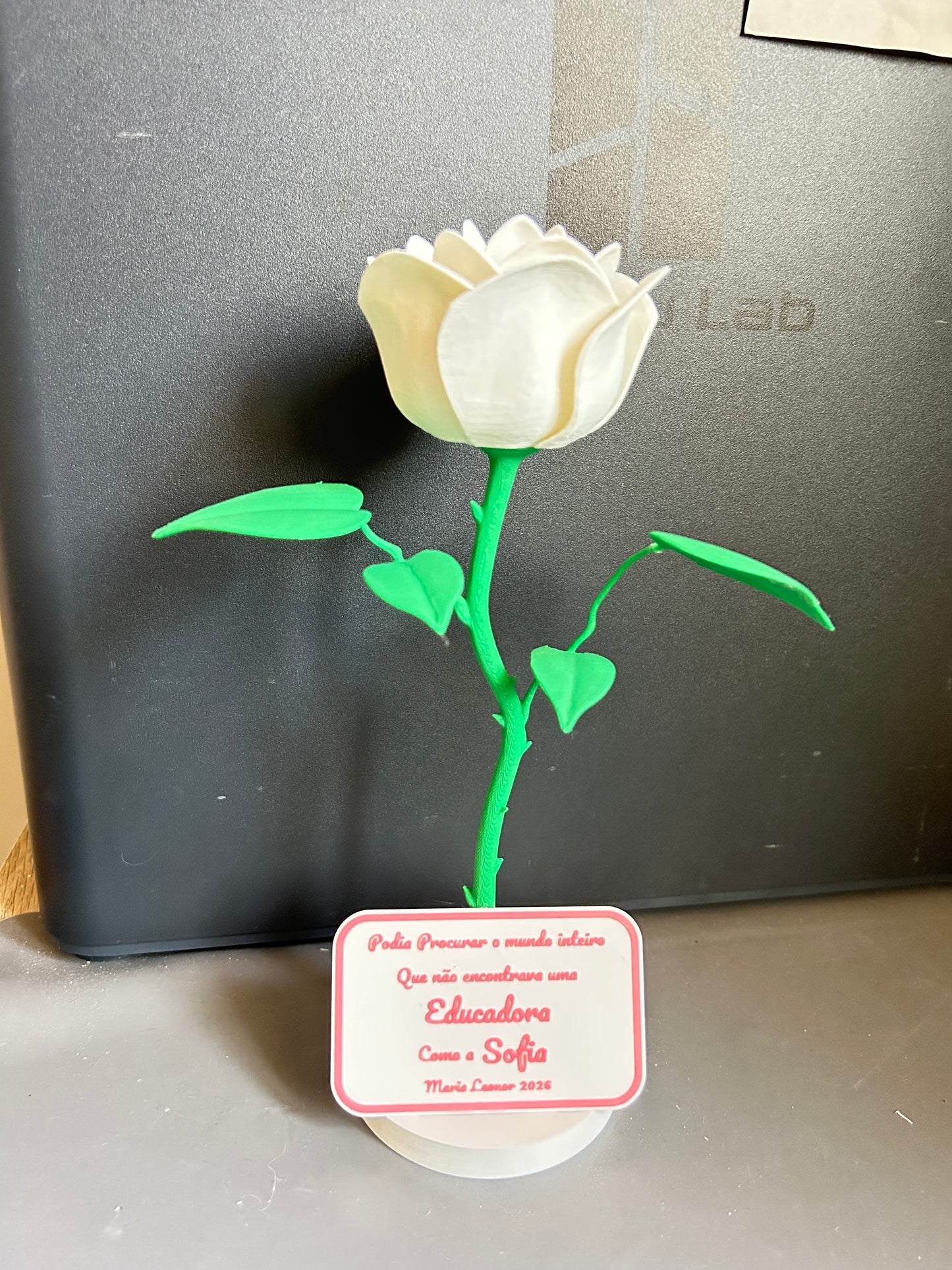 Rosa Personalizada em Impressão 3D com Mensagem